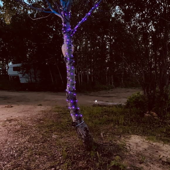 Meet your Posher, Crystal - Picture 1 of 1